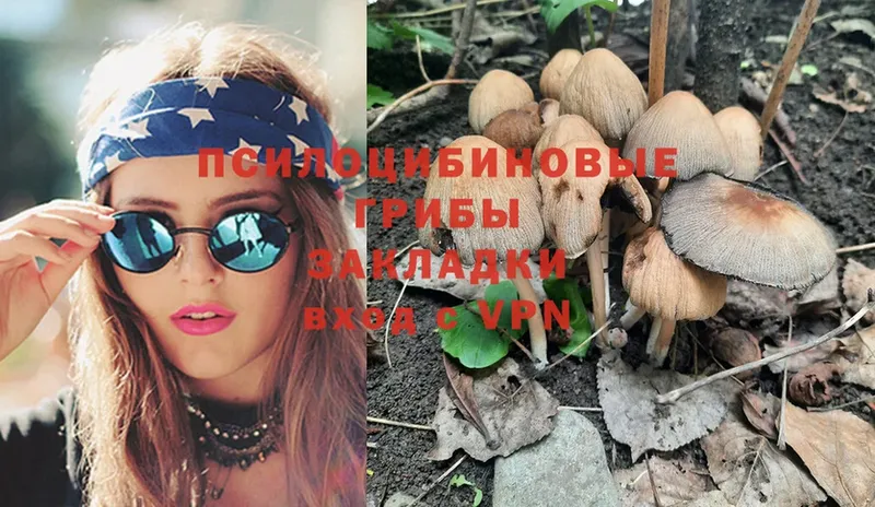 Галлюциногенные грибы Magic Shrooms Истра